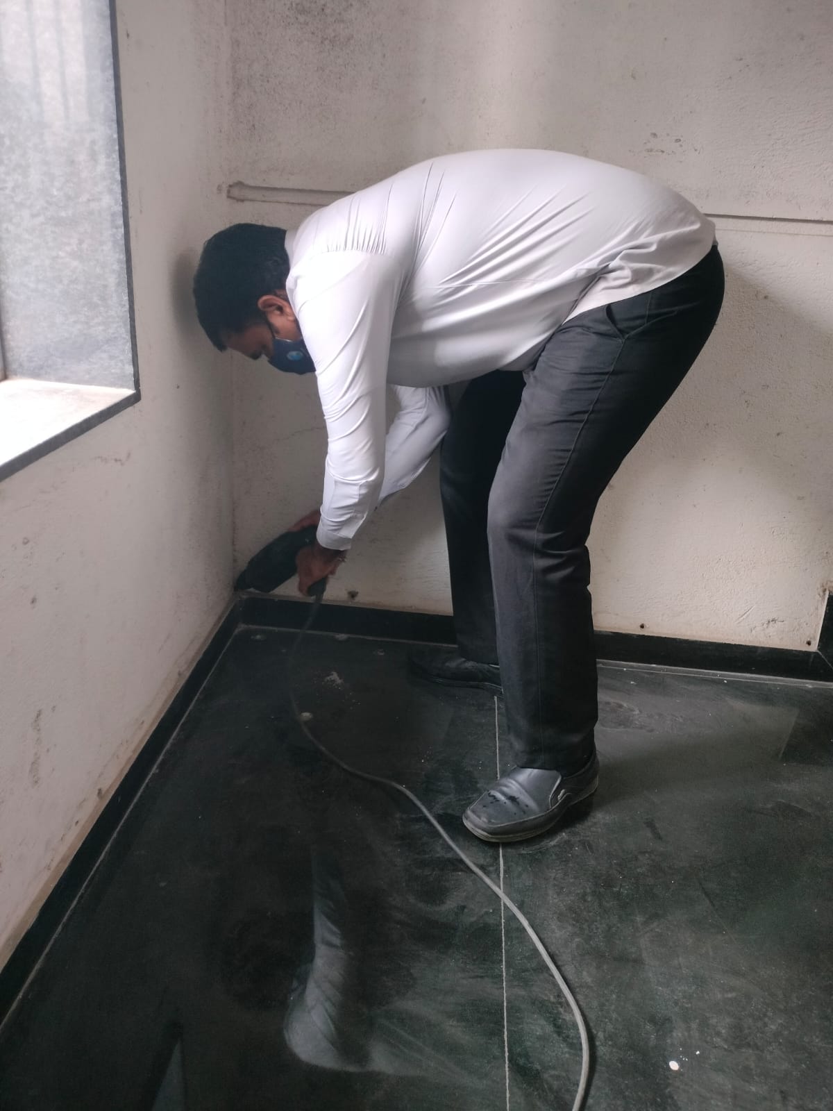 Termite Treatment Process